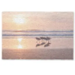 Zee - Vogels - Strand Deurmat klein -zkaufland3d