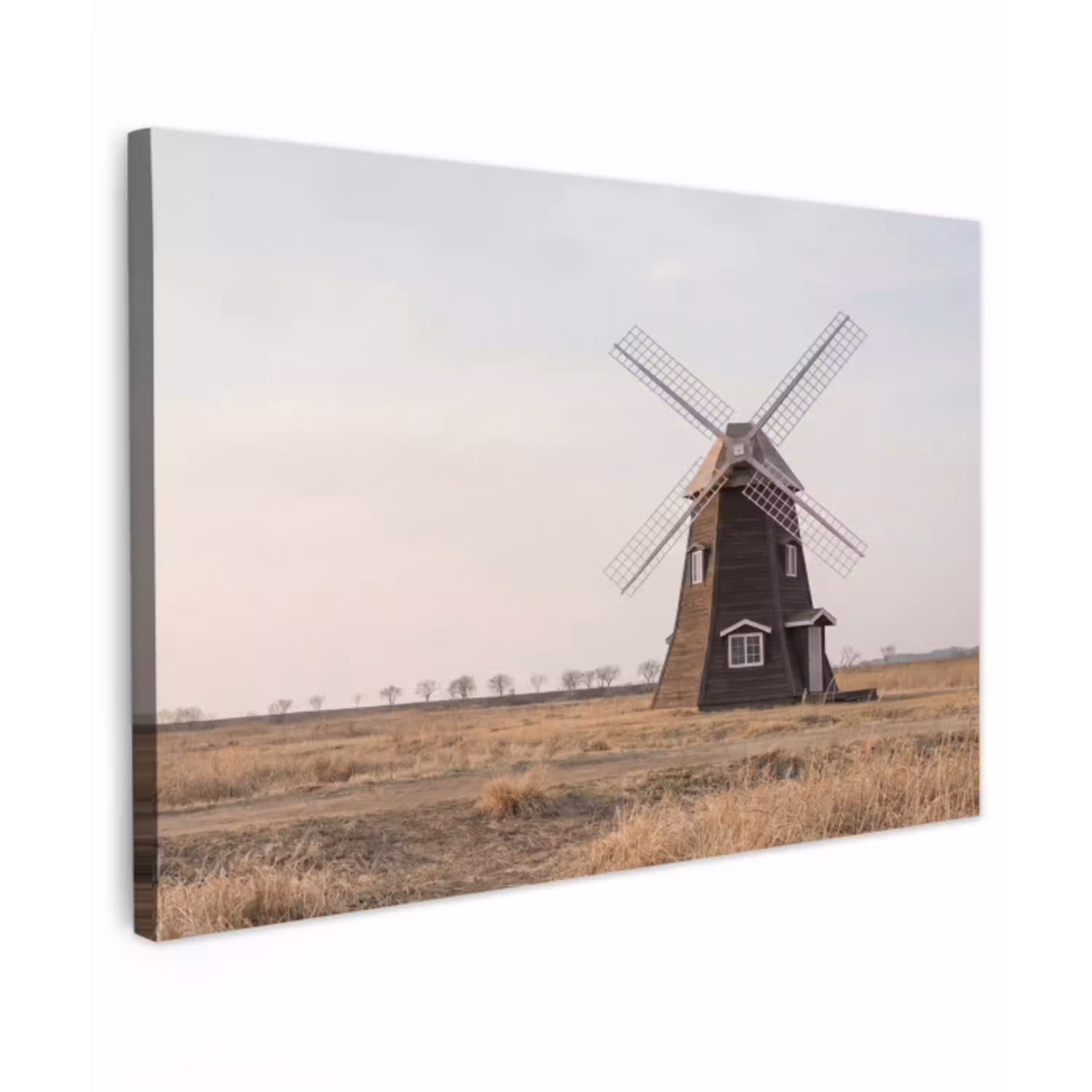 Windmolens - Landschap - Veld canvas 2cm klein -z3d