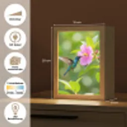 Kolibrie - Bloem - Natuur - Groen Light Box met kabel (Kinderlampje) klein -USP_websiteoverzichtDE