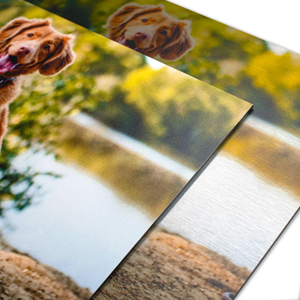 Aluminium schoonmaken close up hond