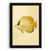 Ovaal - Vis - Geel - Schubben fotolijst zwart zonder passe partout klein -3d