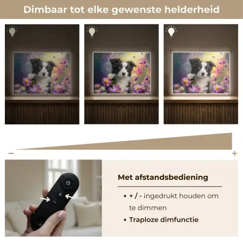 Hond - Bloemen - Natuur - Puppy - Bordercollie Light Box met batterij (Wandlamp kind) middel -USP_dimbaarNL