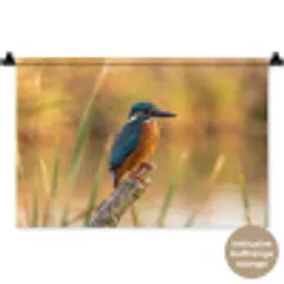 IJsvogel - Tak - Water - Kleurrijk - Levendig Wandkleed katoen klein -t3d_DE