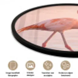 Flamingo - Water - Roze Fotolijst rond zonder passe partout klein -closeup_NL