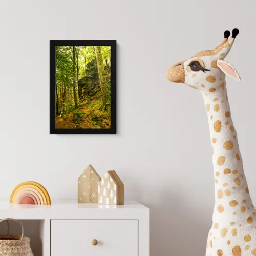 Bomen - Steen - Bos - Natuur - Planten fotolijst zwart zonder passe partout klein -usfeer4_kinderkamer