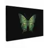 Vlinder - Groen - Diepte canvas 2cm klein -z3d