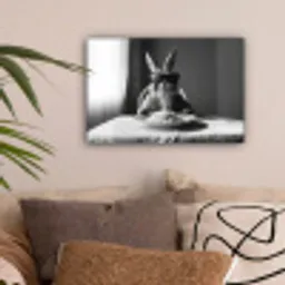 Konijn - Bunny - Zonnebril - Tafelkleed - Pasta - Schattig canvas 2cm klein -sfeer1
