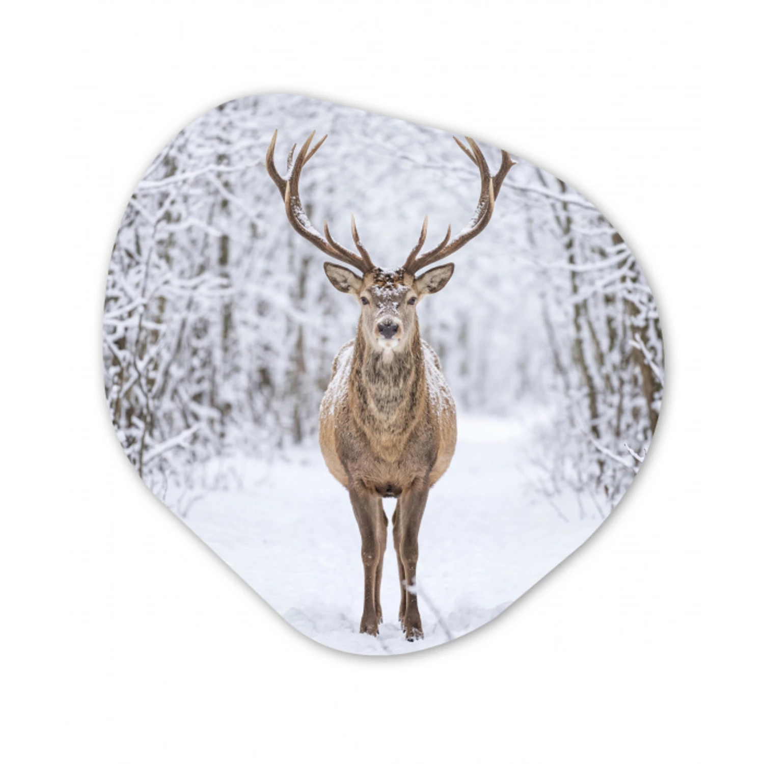 Hert - Winter - Bos - Natuur - Wit Wandcirkel Organisch Aluminium middel -3d