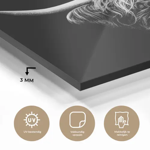 Schotse Hooglander - Koe - Zwart - Wit - Dieren plexiglas 5mm klein -sfeer2