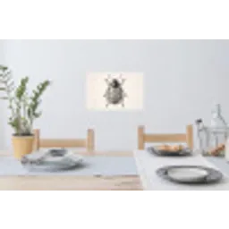 Kever - Insect - Vintage Muursticker klein -eettafel