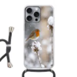 Roodborstje - Gedroogde bloem - Sneeuw - Winter - Vertederend Hoesje iPhone 16 Pro Max met koord klein -3d