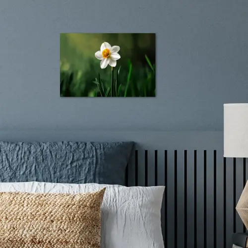 Narcis - Bloem - Wit - Grassprieten poster papier klein -sfeer2