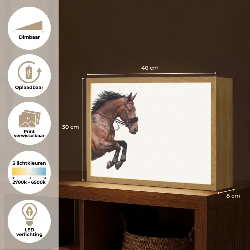 Paard - Springen - Modern Light Box met batterij (Wandlamp) middel -USP_websiteoverzichtNL