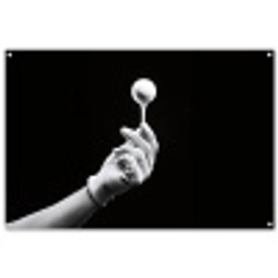 Golfbal - Zwart - Wit tuinposter los doek groot -3d