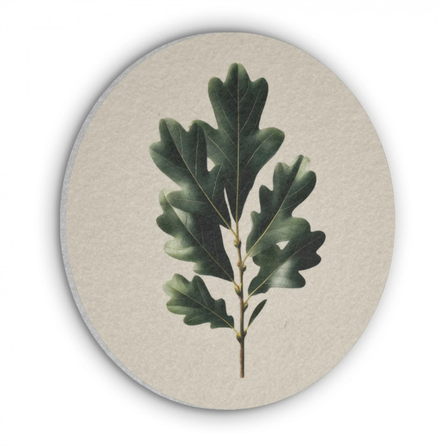 Eikenbladeren - Beige - Groen - Golvende randen Akoestische PET Vilt - Rond klein -3d