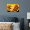 Zonnebloem - Close up - Geel - Quote poster papier klein -sfeer2