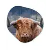 Schotse Hooglander - Koeienkop - Landschap - Natuur - Koe Wandcirkel Organisch Forex 3mm klein -3d