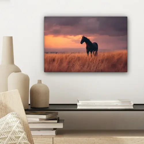 Paard - Wolken - Open veld canvas 2cm klein -sfeer6