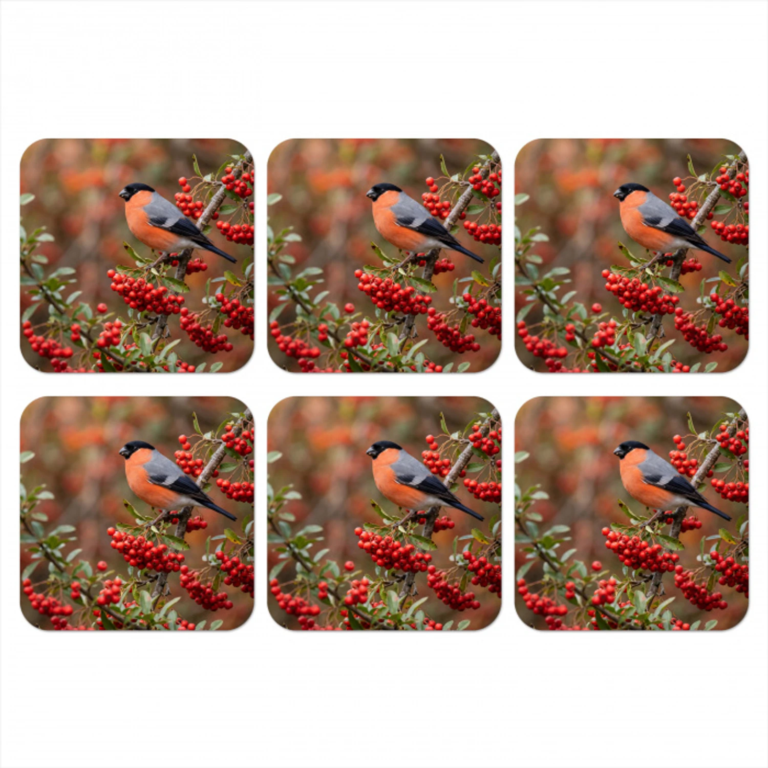Goudvink - Bessen - Herfst - Natuur - Kleurrijk onderzetter kurk middel -3d