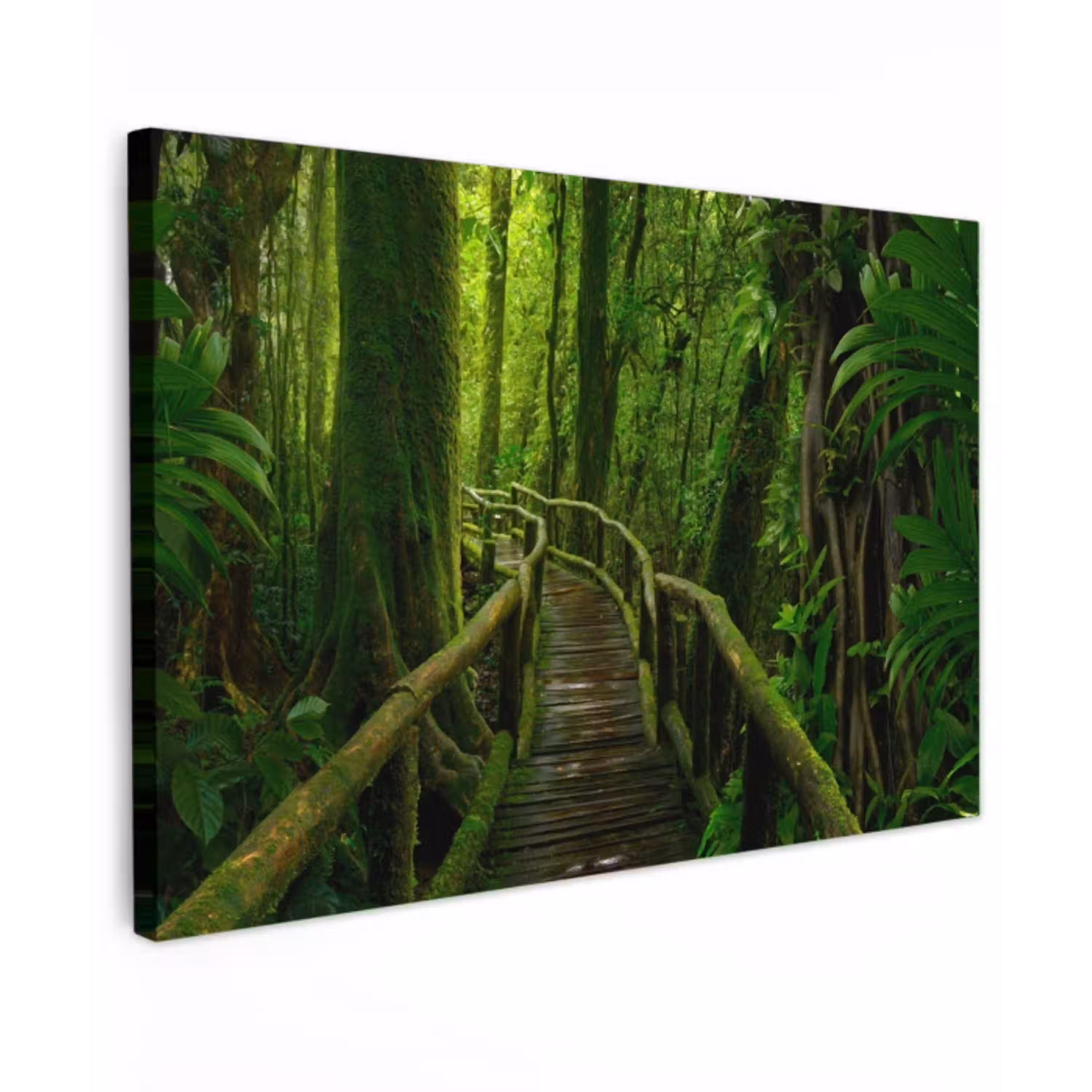 Jungle - Brug - Mos - Natuur - Tropisch canvas 2cm klein -z3d