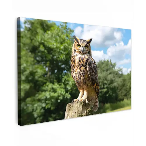 Uil - Boomstronk - Bos - Lucht canvas 2cm klein -z3d