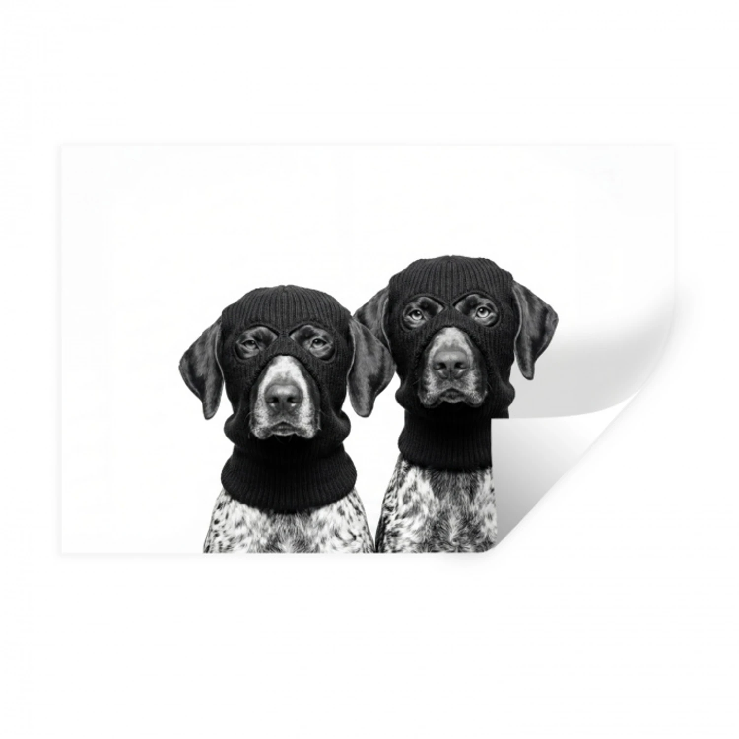 Honden - Bivakmuts - Zwart - wit Muursticker klein -3d