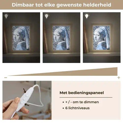 Meisje met de parel - Johannes Vermeer - Delfts blauw Light Box met kabel (Wandlamp) klein -USP_dimbaarNL