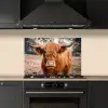 Koe- Schotse hooglander - Hoorns - Bruin - Landschap keuken achterwand spatscherm klein -sfeer1
