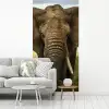 Olifant - Natuur - Gras - Dieren - Landschap fotobehang vinyl groot -woonkamer