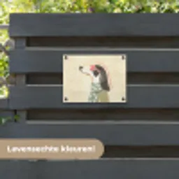 Quote - Hond - Zonnebril tuinposter los doek klein -sfeer3