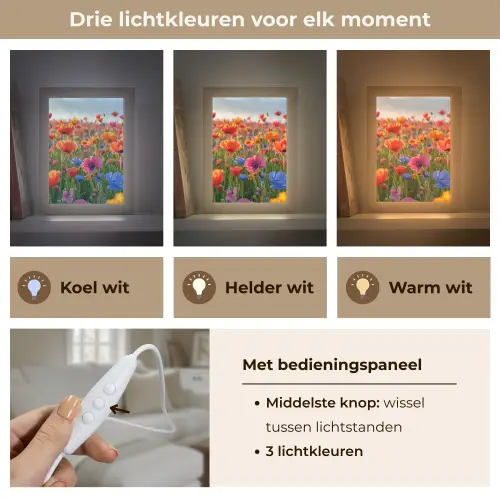 Bloemen - Klaprozen - Kleurrijk - Natuur Light Box met kabel (Tafellamp) klein -USP_lichtkleurNL