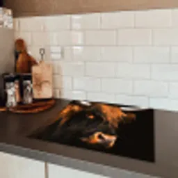 Fluisteringen van het Woud Inductie beschermer vinyl 3mm middel -sfeer3