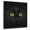 Kat - Zwart - Dieren - Natuur Textielframe zwart klein -3d