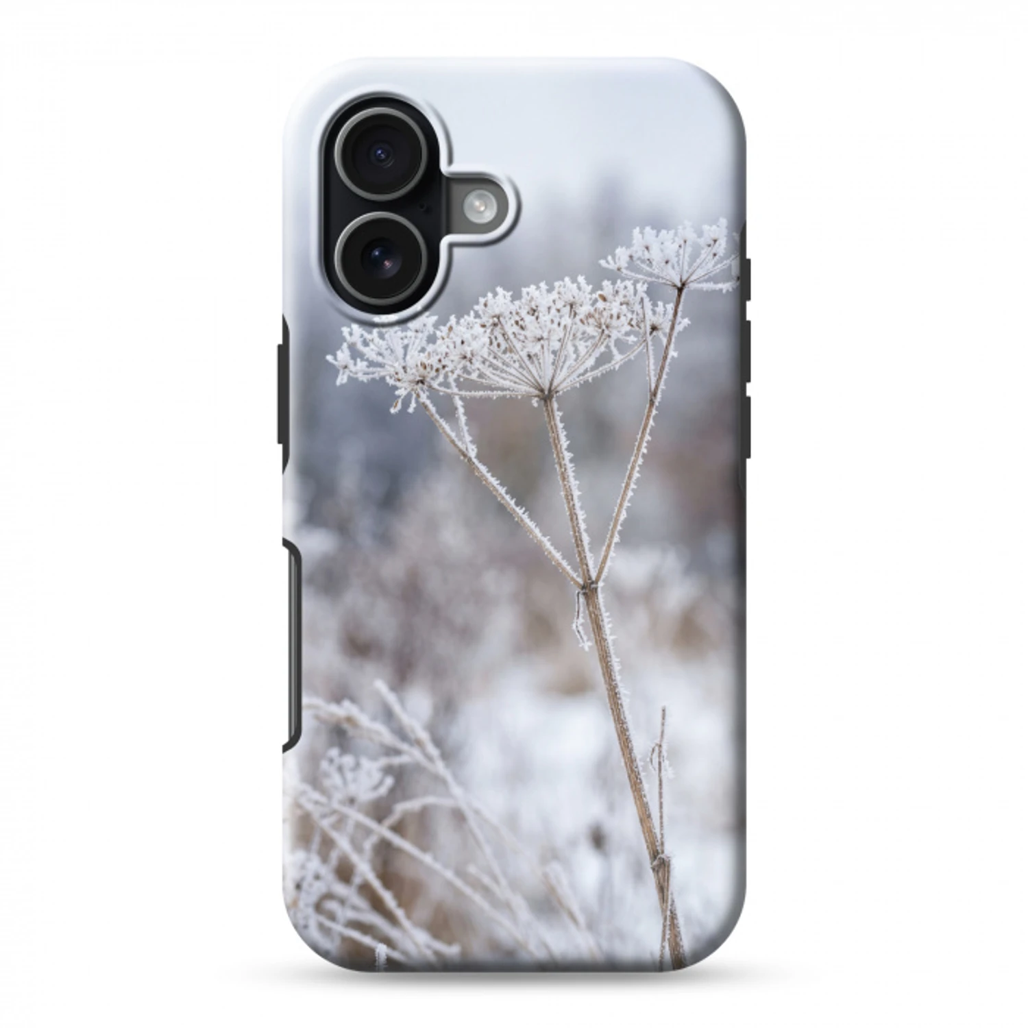 Schermbloem - Rijp - Kristallen - Winter - Delicaat Toughcase MagSafe Apple iPhone 17 klein -3d