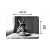Konijn - Bunny - Zonnebril - Tafelkleed - Pasta - Schattig Placemat vinyl groot -specs