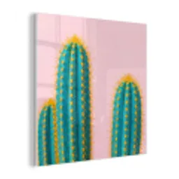 Cactussen - Modern - Pastel plexiglas 5mm klein -z3d