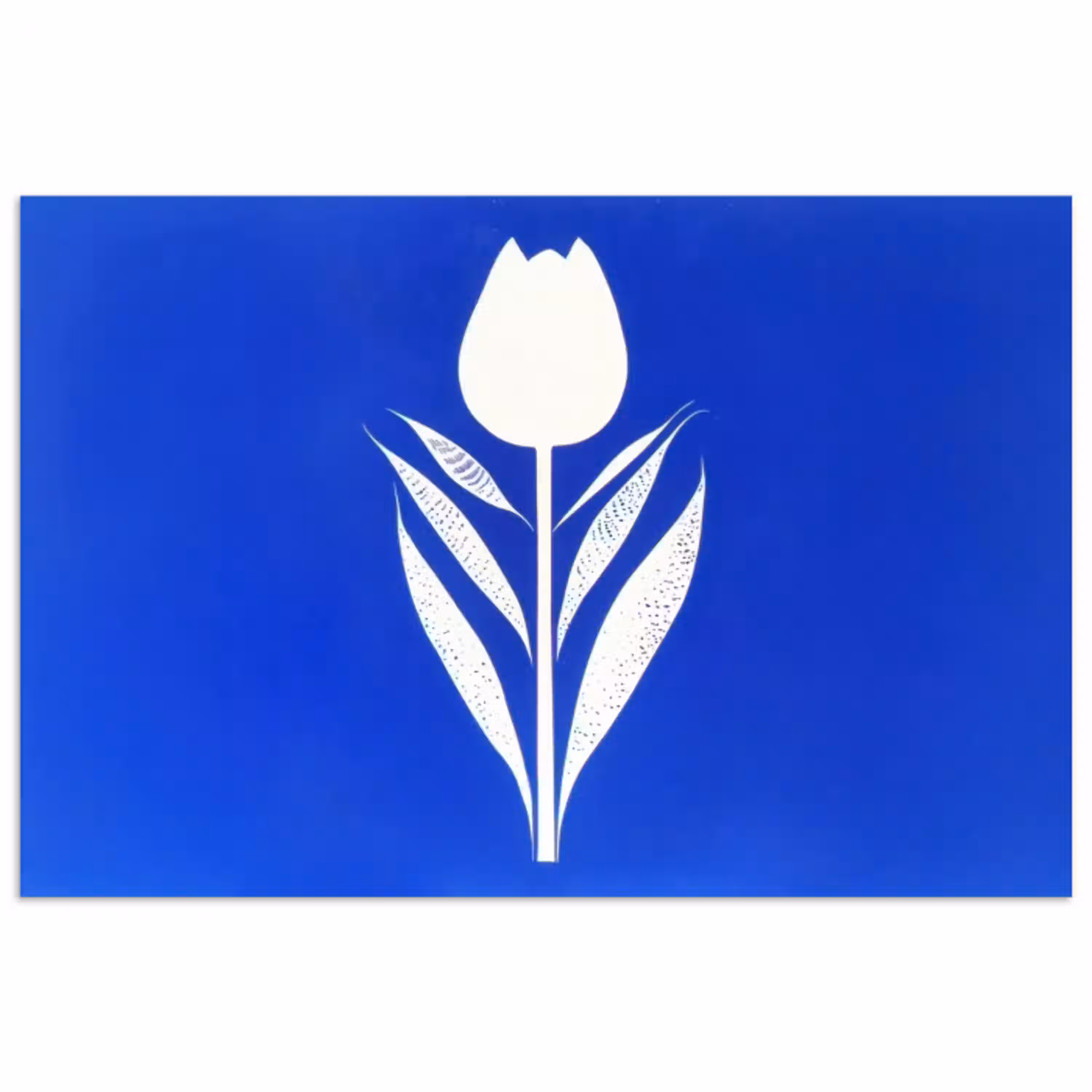 Tulp - Minimalistisch - Bladeren - Wit poster papier klein -3d