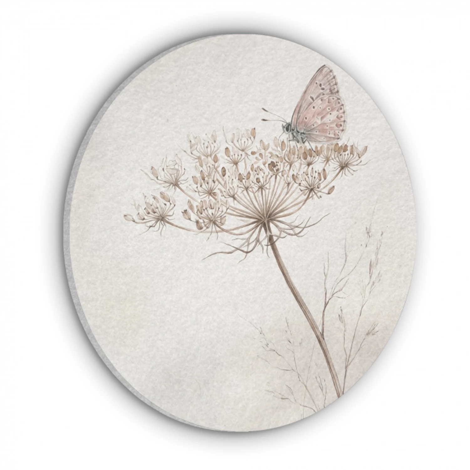 Vlinder - Bloem -Natuur - Beige Akoestische PET Vilt - Rond klein -3d