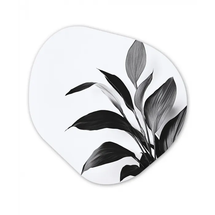 Plant - Bladeren - Minimalistisch - Zwart Wandcirkel Organisch Forex 3mm klein -3d
