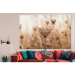 Schermbloem - Droogbloem - Winter - Beige - Minimalistisch forex 5mm xxl -woonkamer