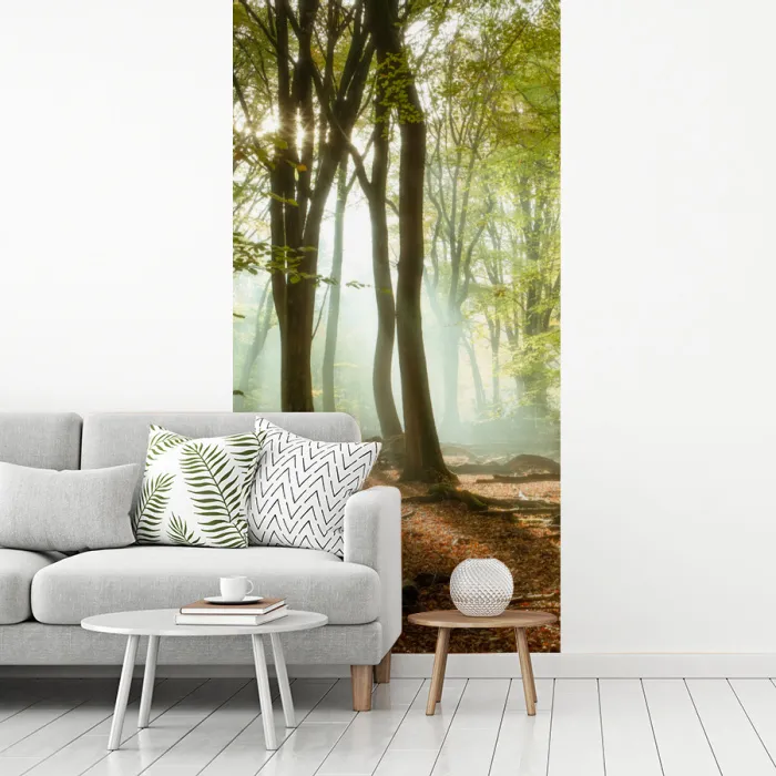 Bos - Zon - Seizoenen - Landschap fotobehang vinyl groot -woonkamer