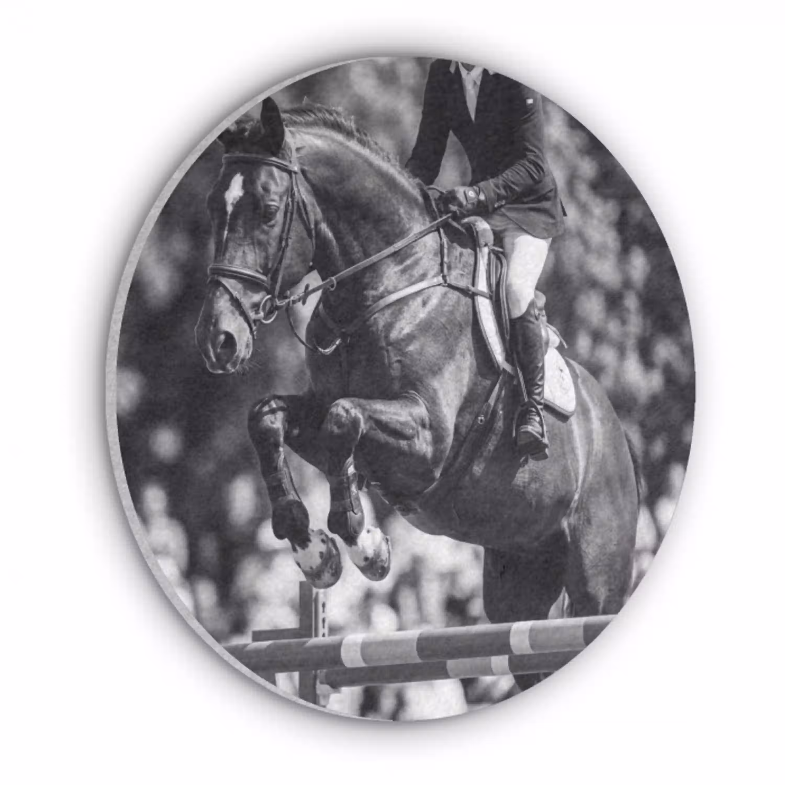 Springen - Paard - Zwart - Wit Akoestische PET Vilt - Rond klein -3d