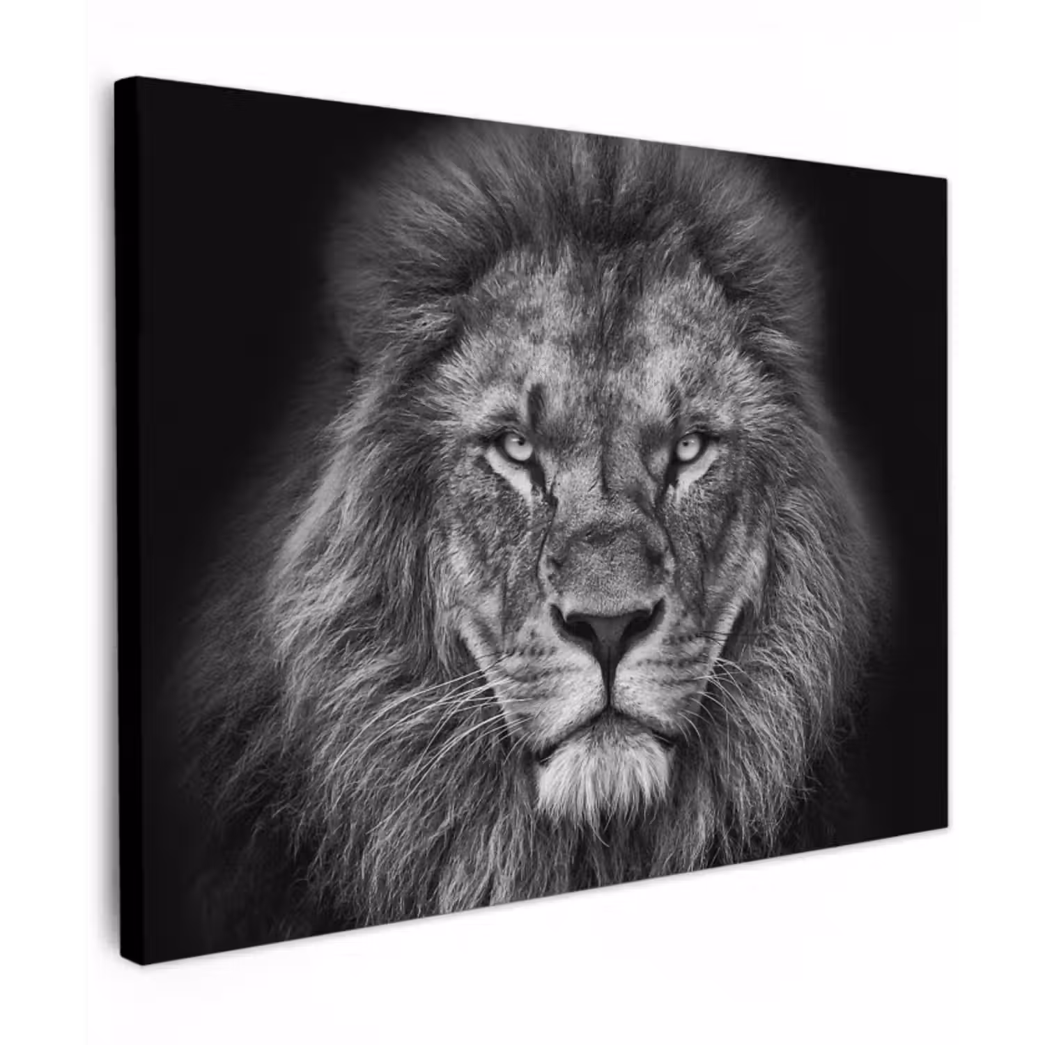 Canvas schilderij - Dieren - Leeuw - Zwart - Wit - Portret