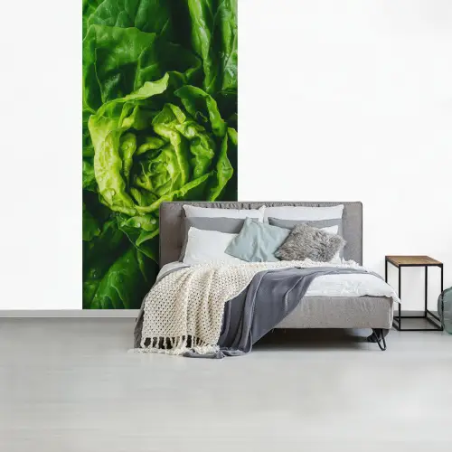Groente - Sla - Groen fotobehang vinyl groot -slaapkamer