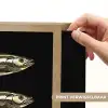 Vissen - Goud - Zwart Light Box met batterij (Wandlamp) middel -USP_websiteprintNL