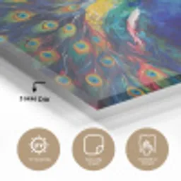 Pauw - Dieren - Schilderij - Regenboog plexiglas 5mm klein -sfeer2