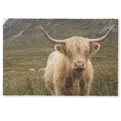 Schotse hooglander - Bergen - Grasveld Deurmat klein -zkaufland3d