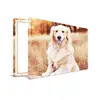 Foto op canvas - Productbeeld - Afbeelding van een hond buiten