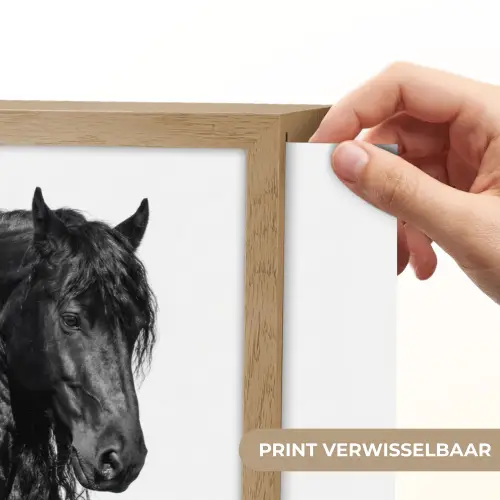 Fries - Hengst - Modern Light Box met batterij (Wandlamp) middel -USP_websiteprintNL