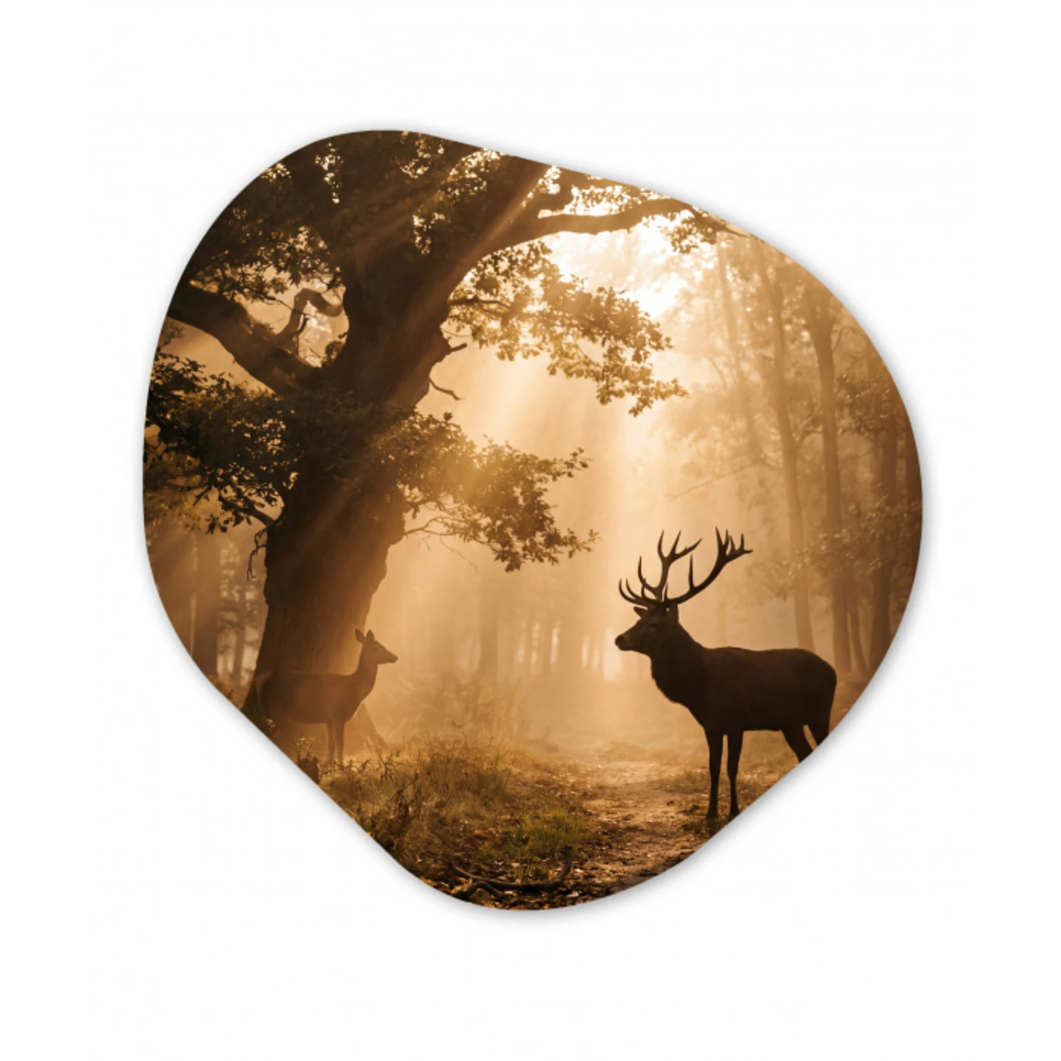 Hert - Bos - Mistig - Natuur - Goud Wandcirkel Organisch Aluminium middel -3d